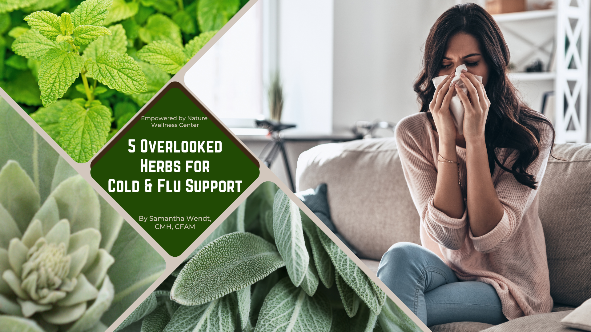 herbs for cold and flu support